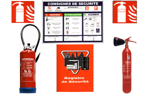 Kit ERP (- de 200 m2 + risque électrique) NF / Pose + Attestation de conformité 